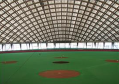 ニプロハチ公ドーム写真